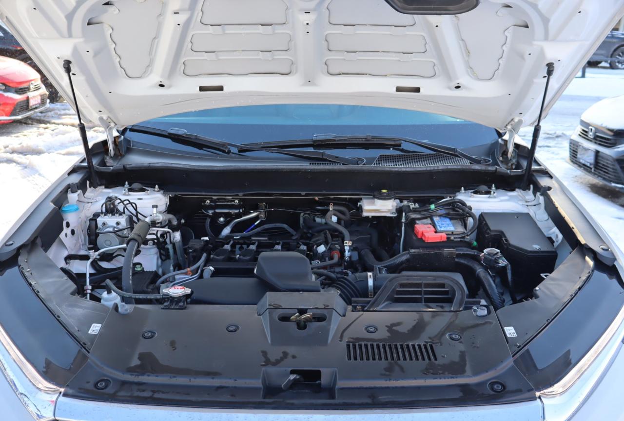 2024 Honda CR-V EX-L 4dr All-wheel Drive Photo