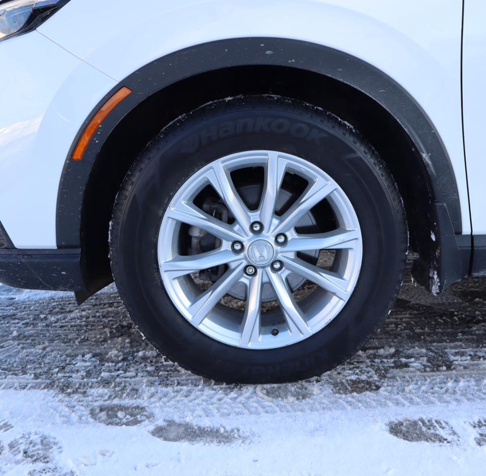 2024 Honda CR-V EX-L 4dr All-wheel Drive Photo