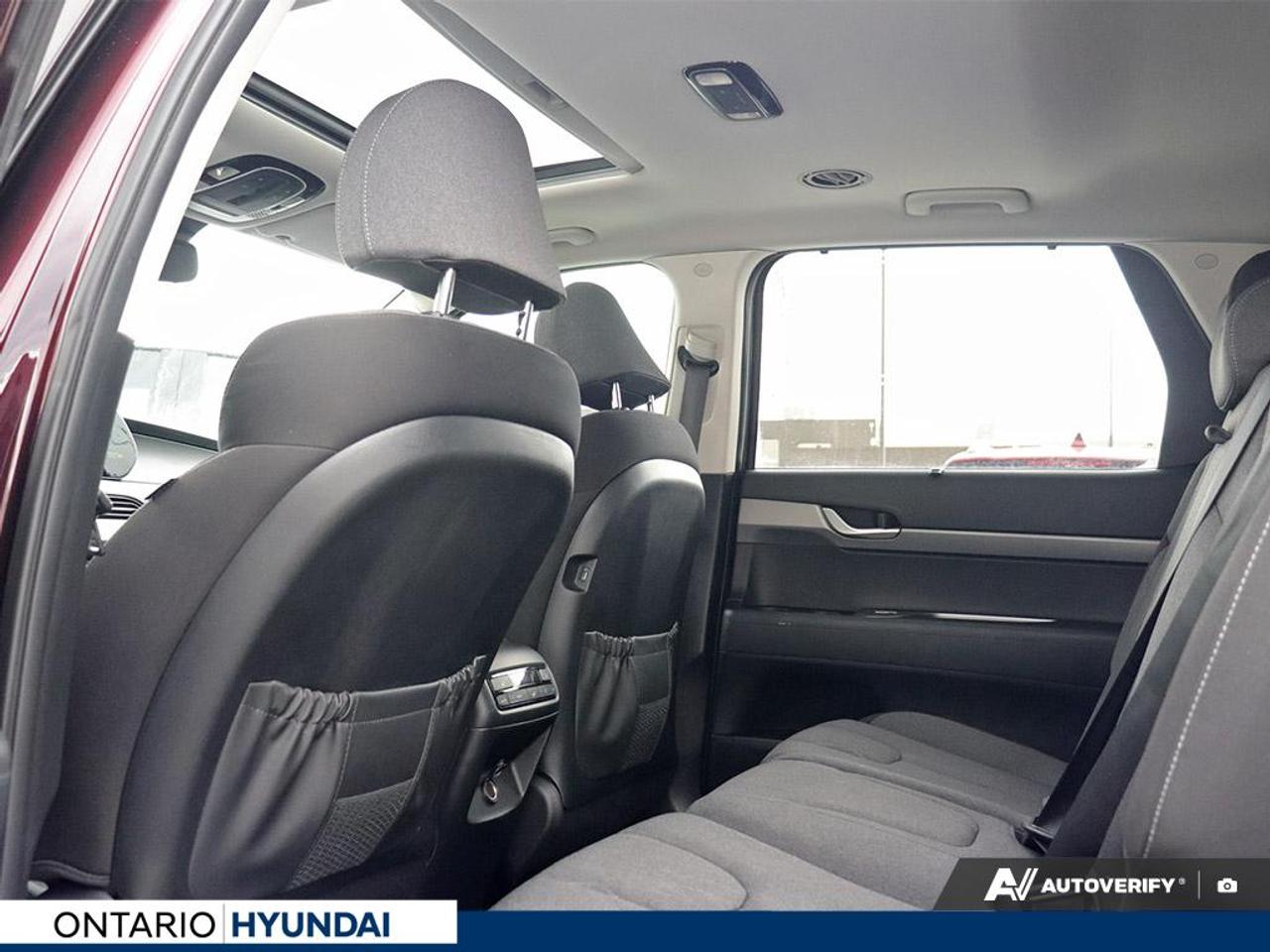 2022 Hyundai PALISADE Preferred 4dr All-Wheel Drive Photo