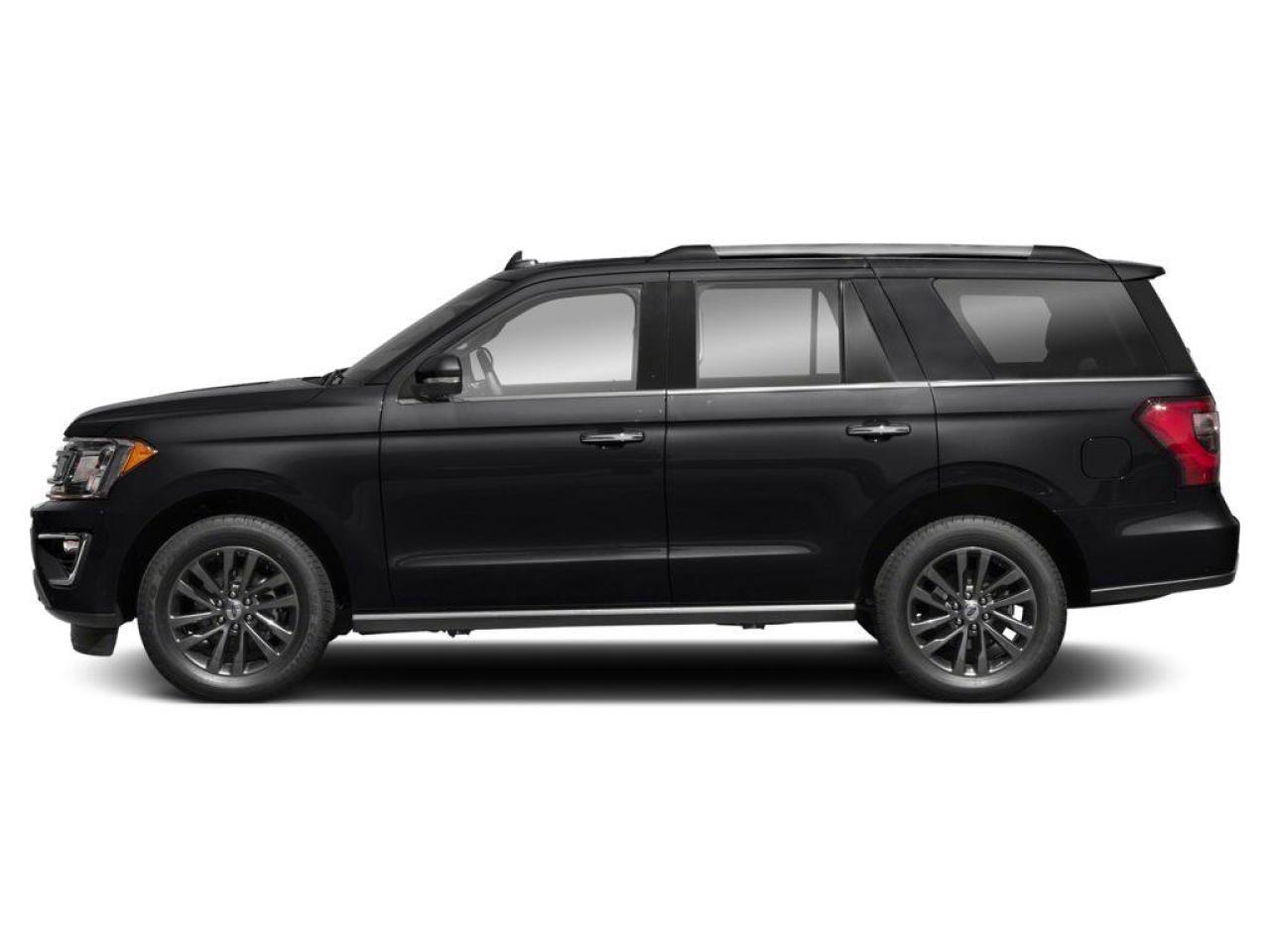 2019 Ford Expedition Limited 4dr 4x4 Photo