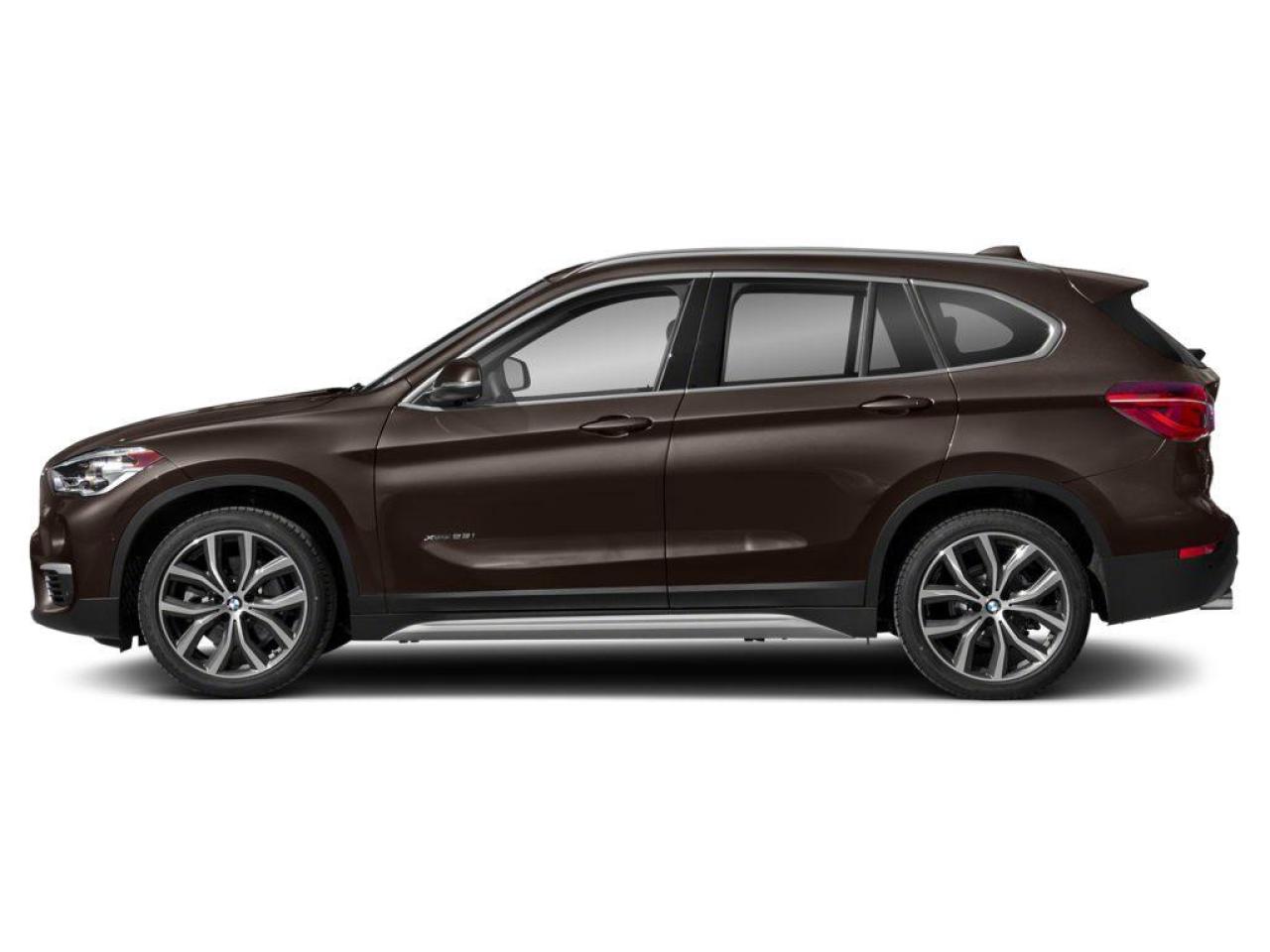 2018 BMW X1 xDrive28i 4dr All-wheel Drive Sports Activity Vehicle Photo