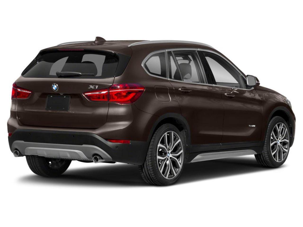 2018 BMW X1 xDrive28i 4dr All-wheel Drive Sports Activity Vehicle Photo