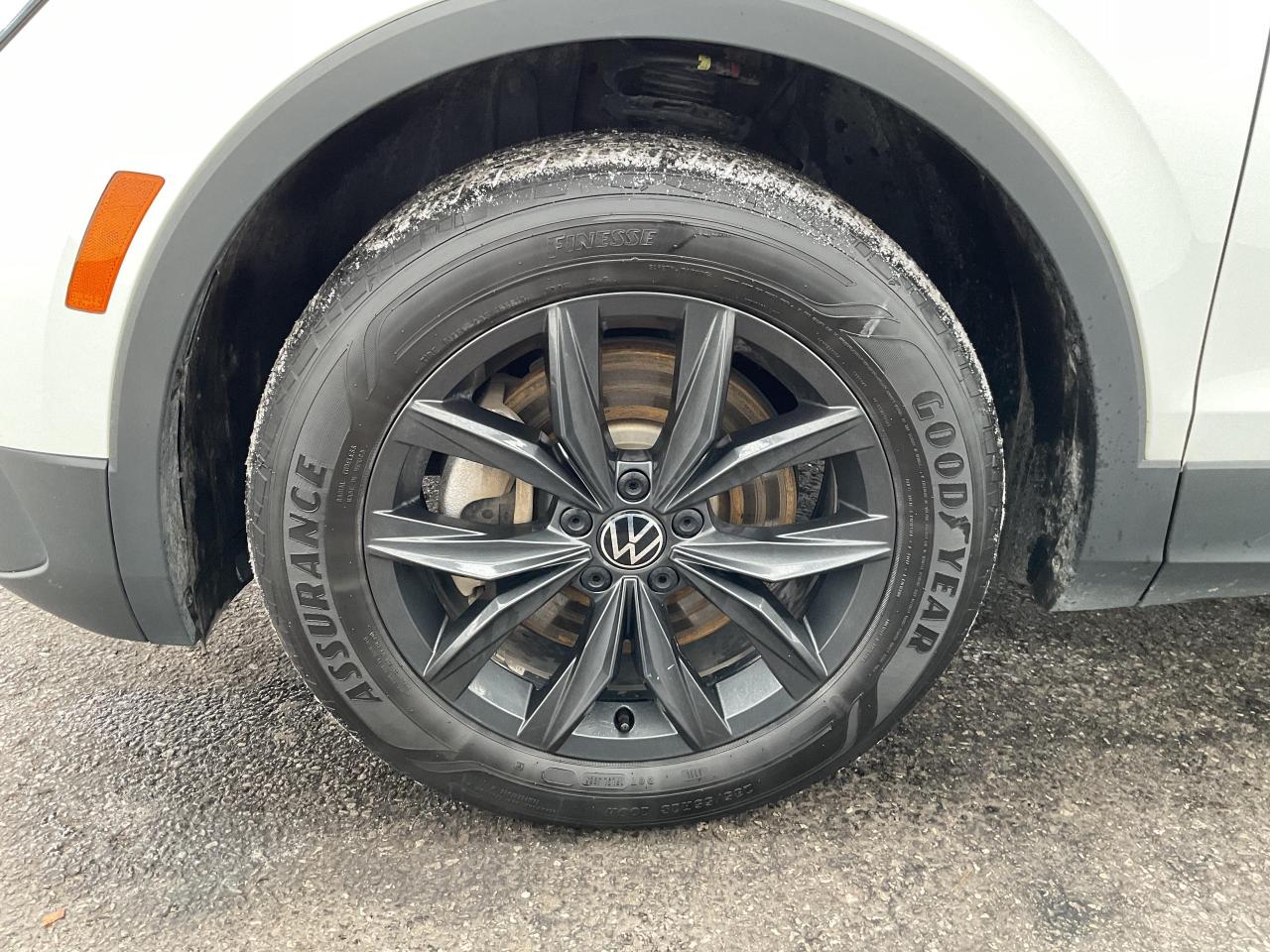 2024 Volkswagen Tiguan Comfortline 4dr All-wheel Drive 4MOTION Photo