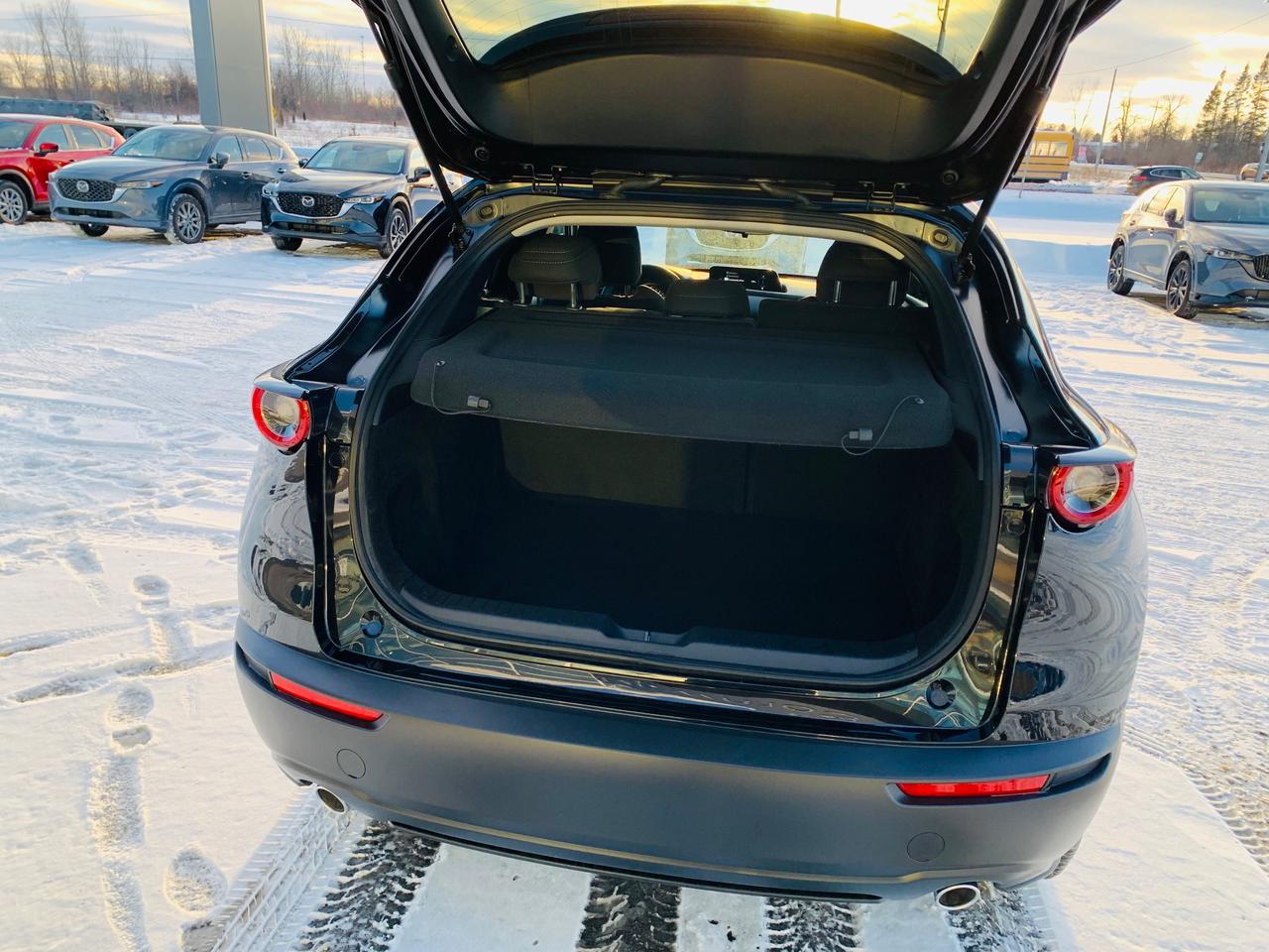 2024 Mazda CX-30 GS 4dr i-ACTIV All-Wheel Drive Sport Utility Photo