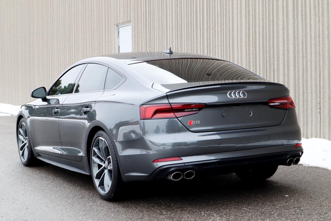 2019 Audi S5  Photo