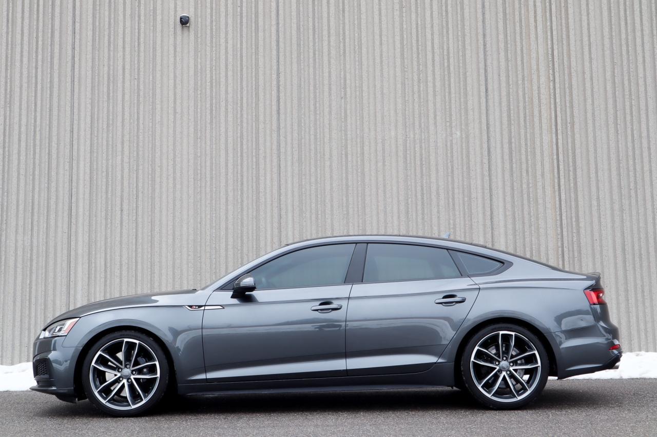 2019 Audi S5  Photo