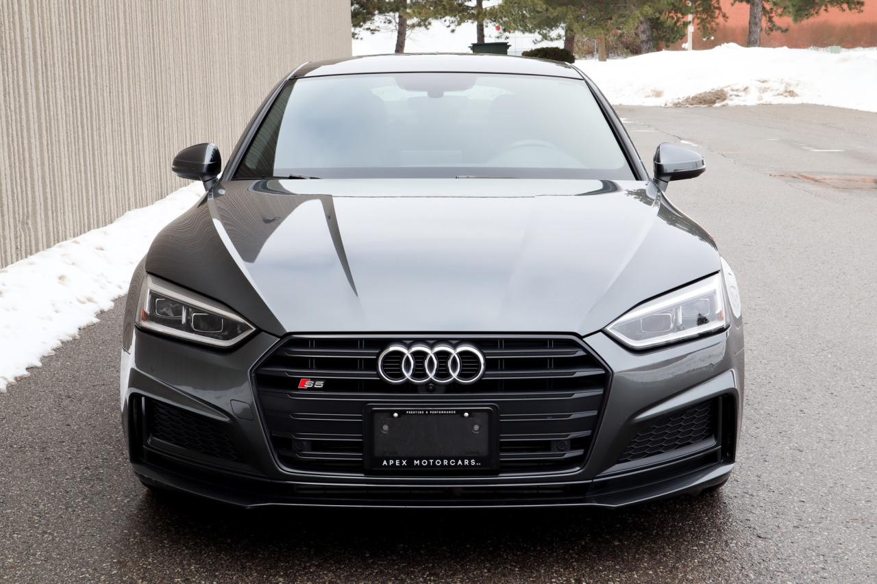 2019 Audi S5  Photo