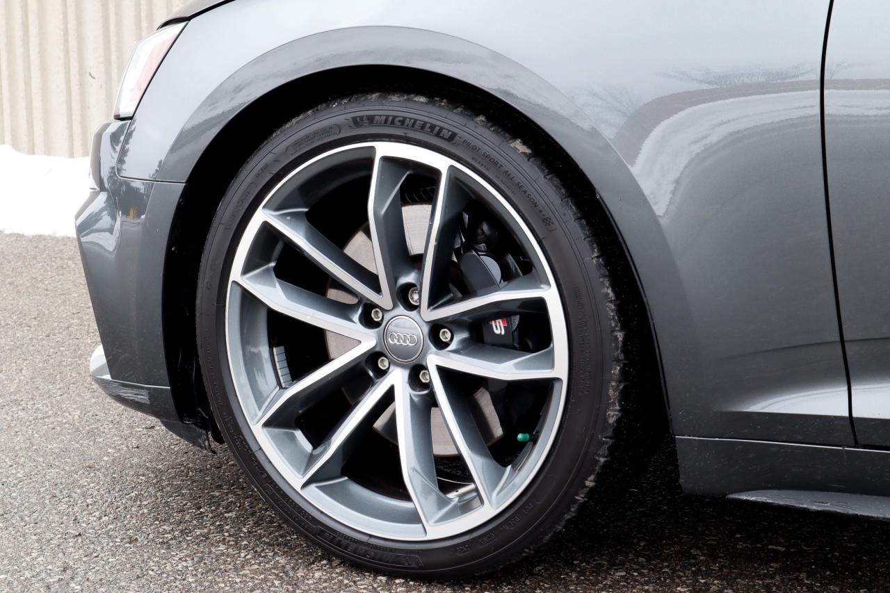 2019 Audi S5  Photo