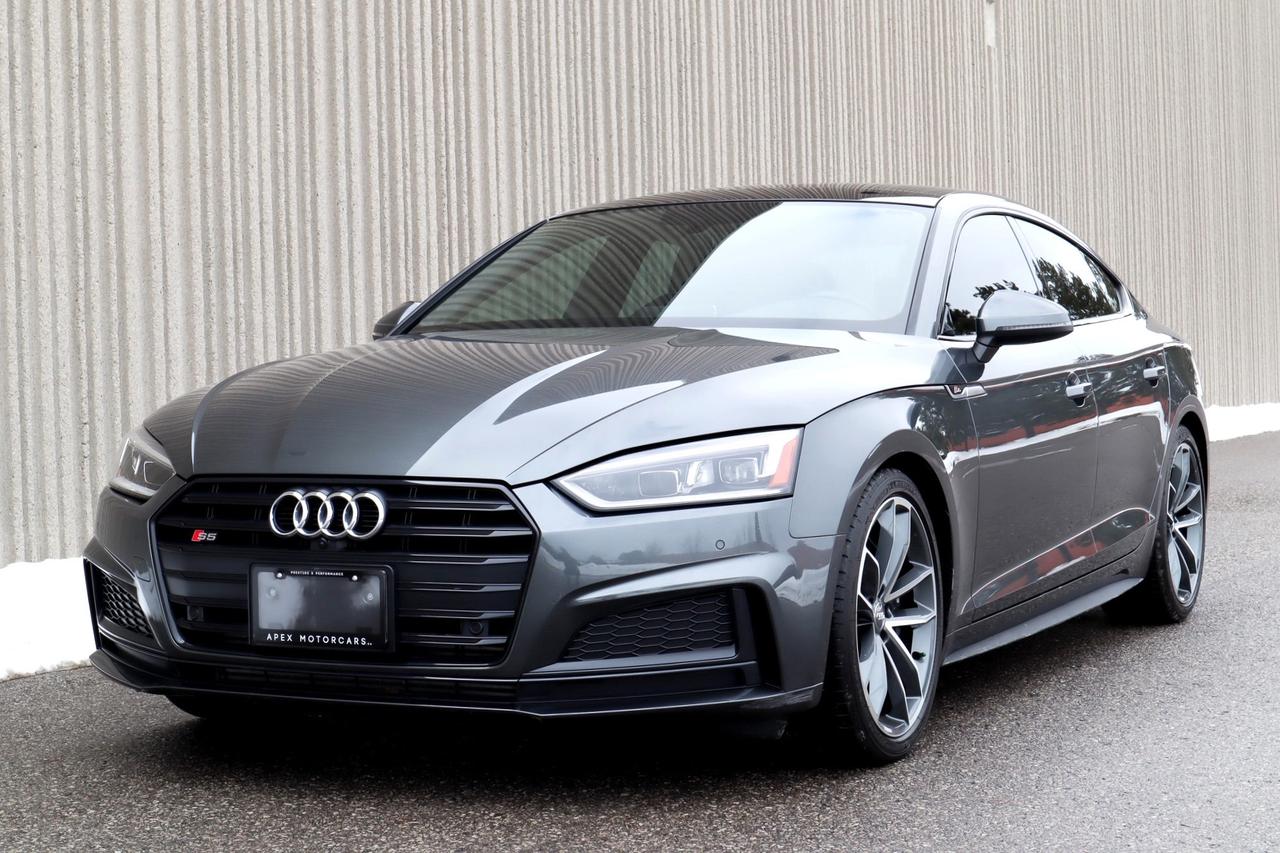 2019 Audi S5  Photo