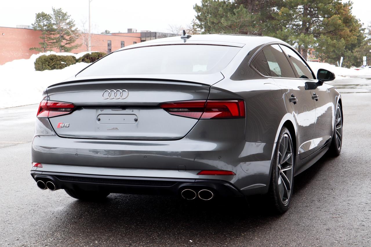 2019 Audi S5  Photo4
