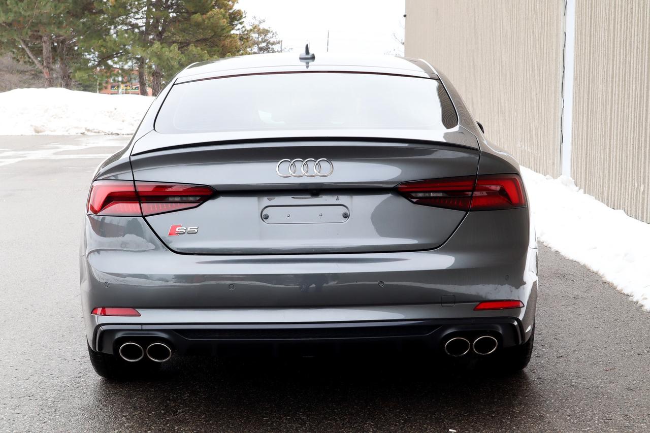 2019 Audi S5  Photo3