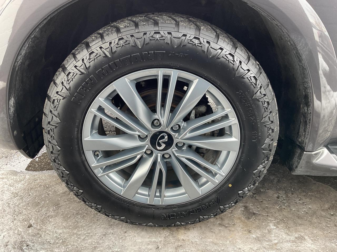 2024 Infiniti QX80  Photo