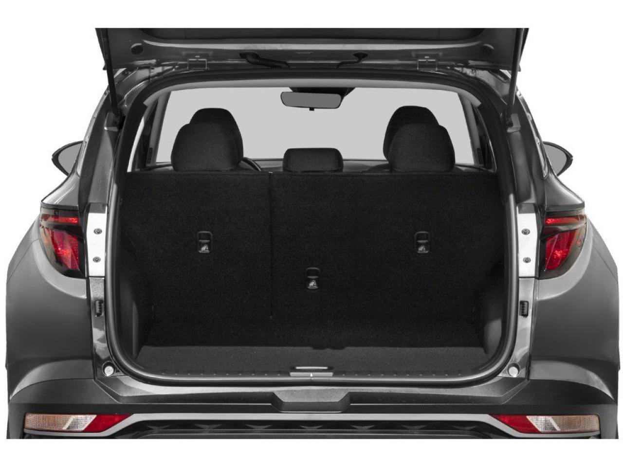 2023 Hyundai Tucson N Line 4dr All-Wheel Drive Photo