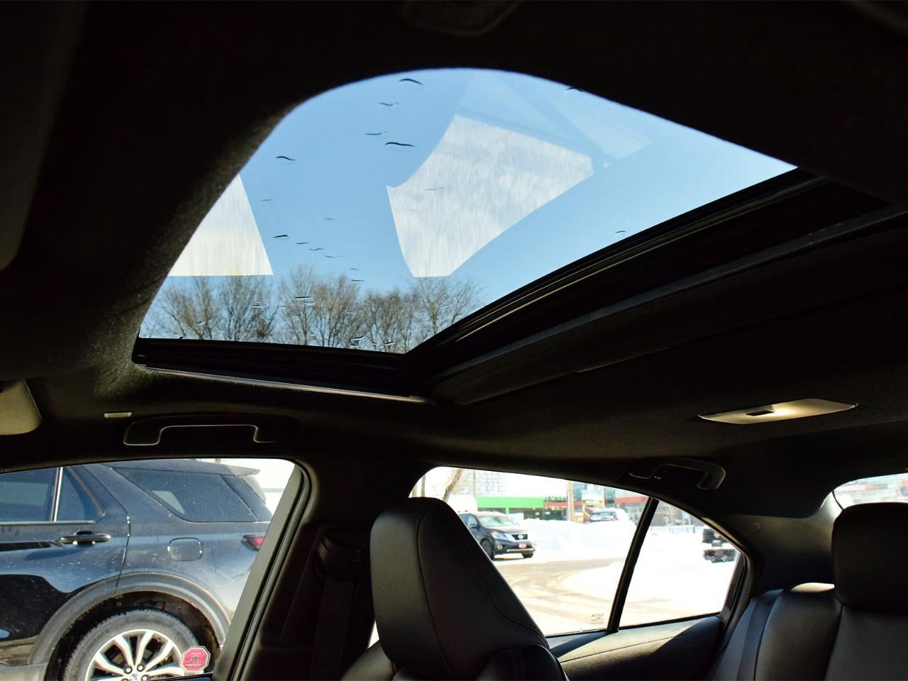 2024 Toyota Corolla SE 4dr Sedan Photo