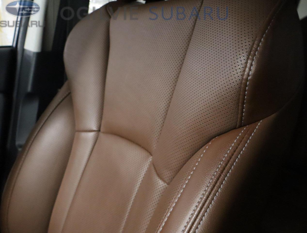 2020 Subaru ASCENT Premier 7-Passenger (CVT) 4dr All-Wheel Drive Photo