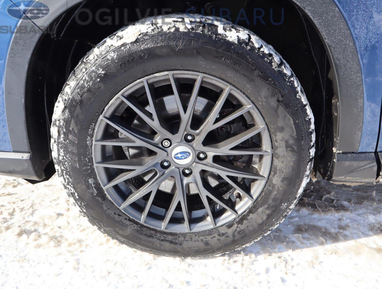 2020 Subaru ASCENT Premier 7-Passenger (CVT) 4dr All-Wheel Drive Photo