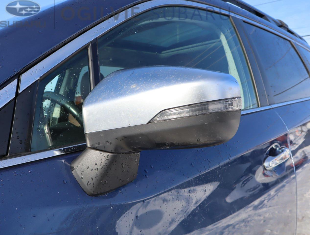 2020 Subaru ASCENT Premier 7-Passenger (CVT) 4dr All-Wheel Drive Photo