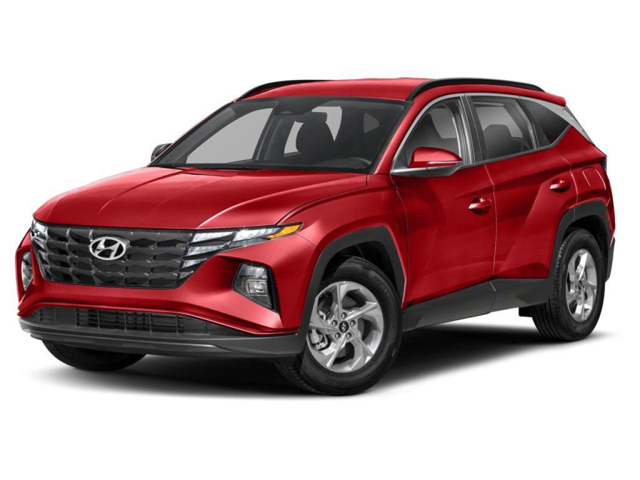2023 Hyundai Tucson  Photo