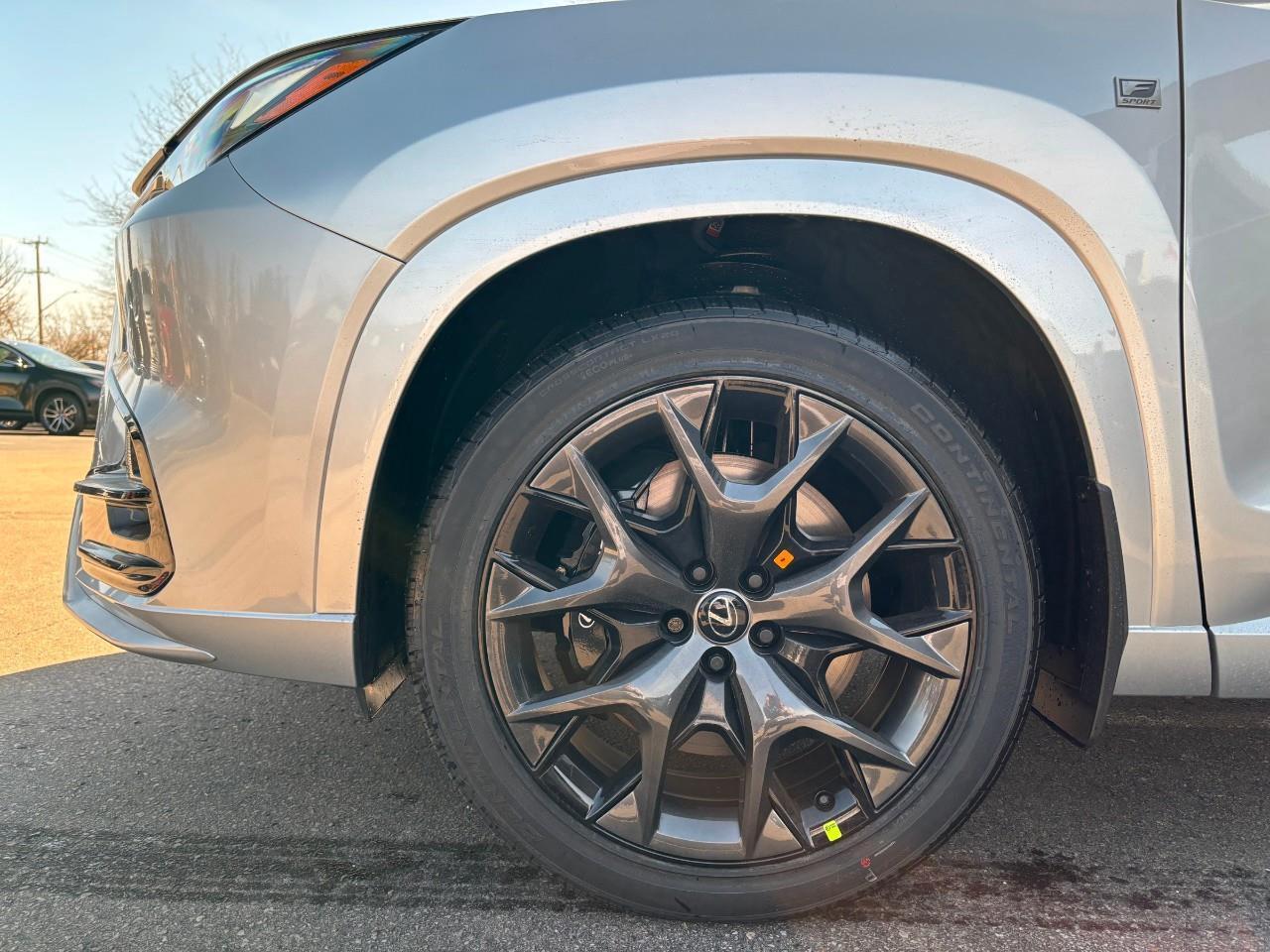 2025 Lexus TX 500h  Photo