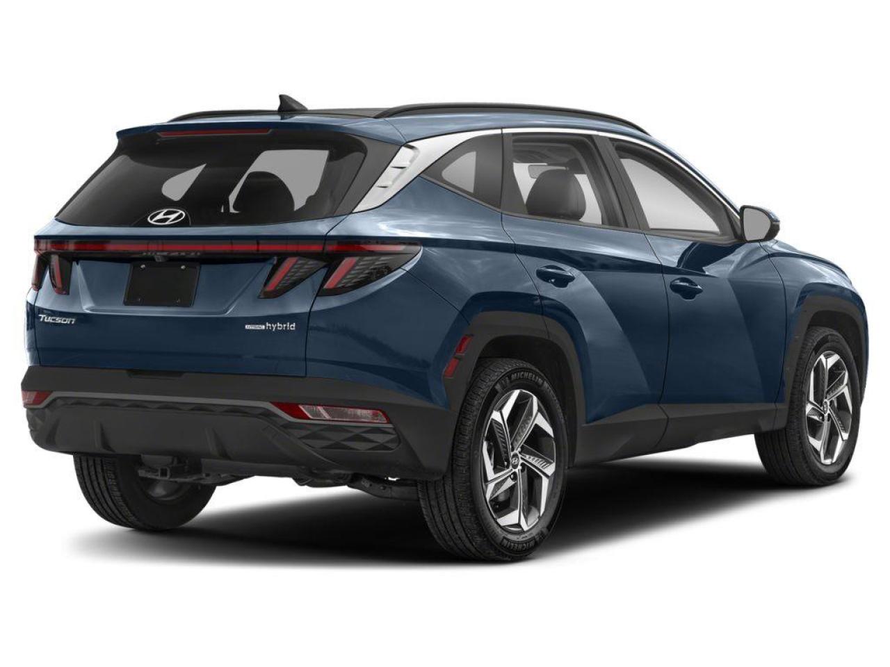 2024 Hyundai Tucson Hybrid  Photo2