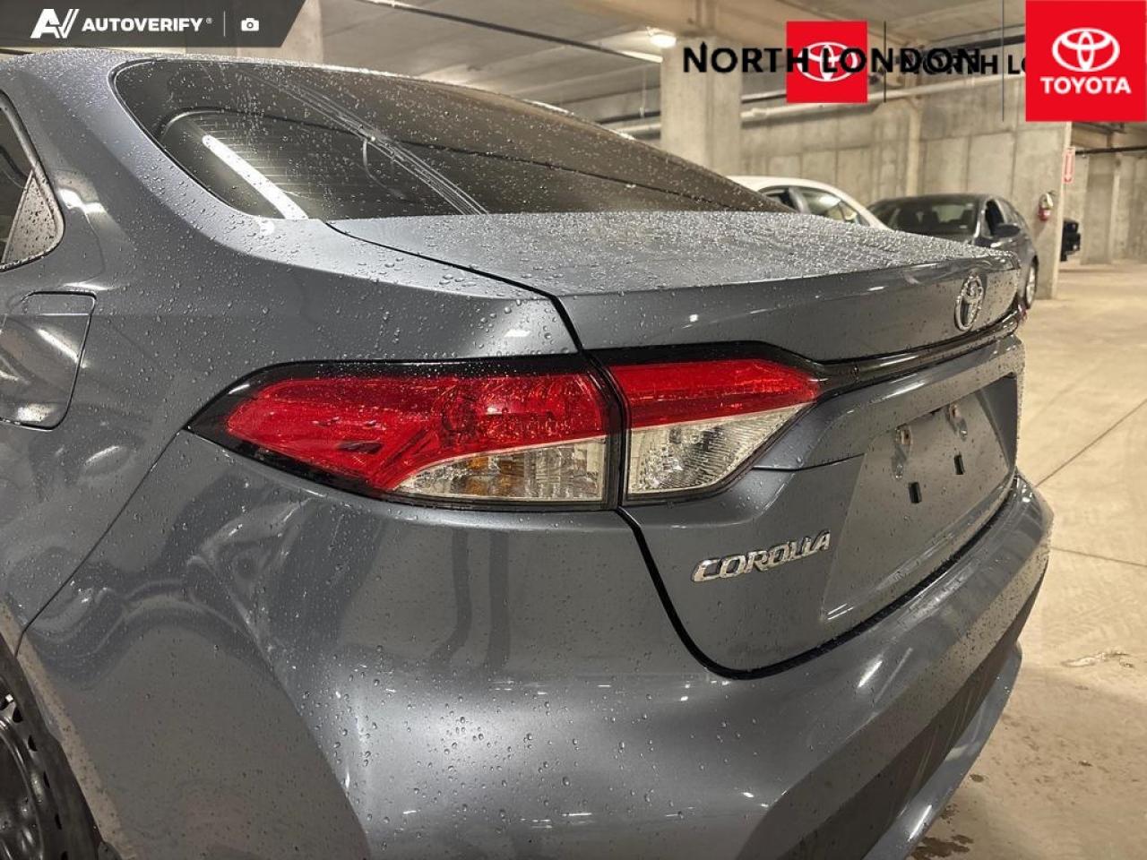 2022 Toyota Corolla  Photo