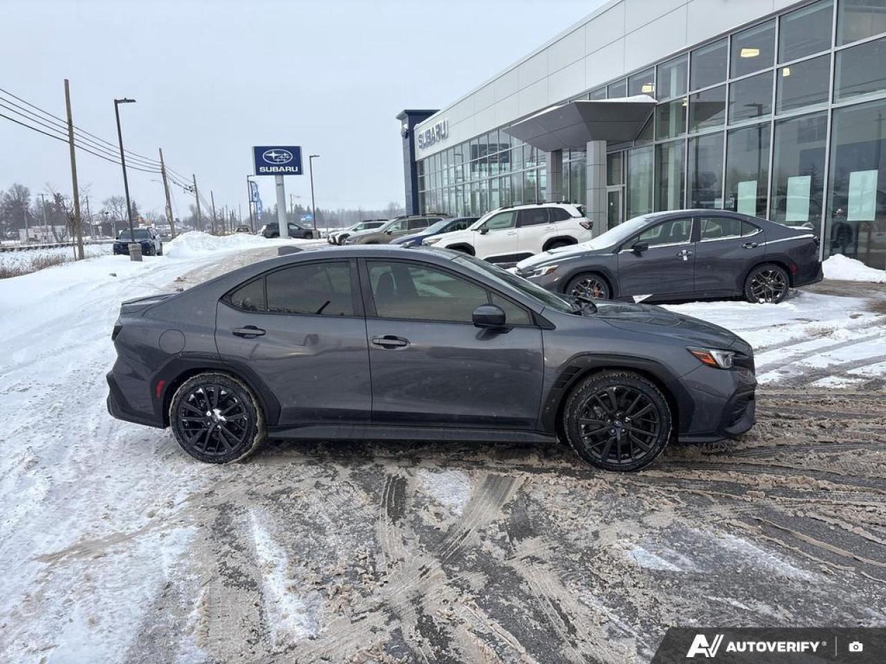 2023 Subaru WRX Sport (CVT) 4dr All-Wheel Drive Sedan Photo