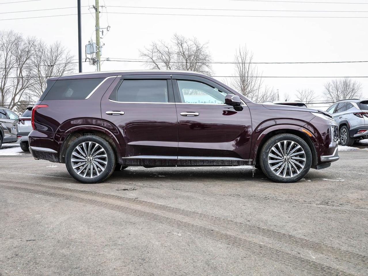 2024 Hyundai PALISADE Ultimate Calligraphy 4dr All-Wheel Drive Photo