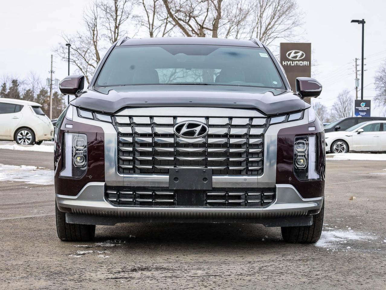 2024 Hyundai PALISADE Ultimate Calligraphy 4dr All-Wheel Drive Photo