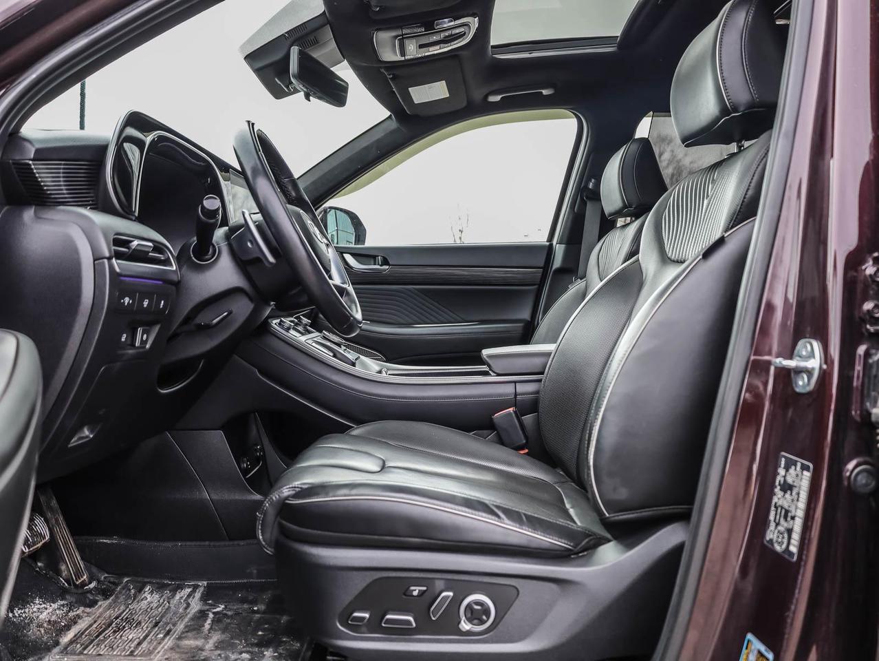 2024 Hyundai PALISADE Ultimate Calligraphy 4dr All-Wheel Drive Photo