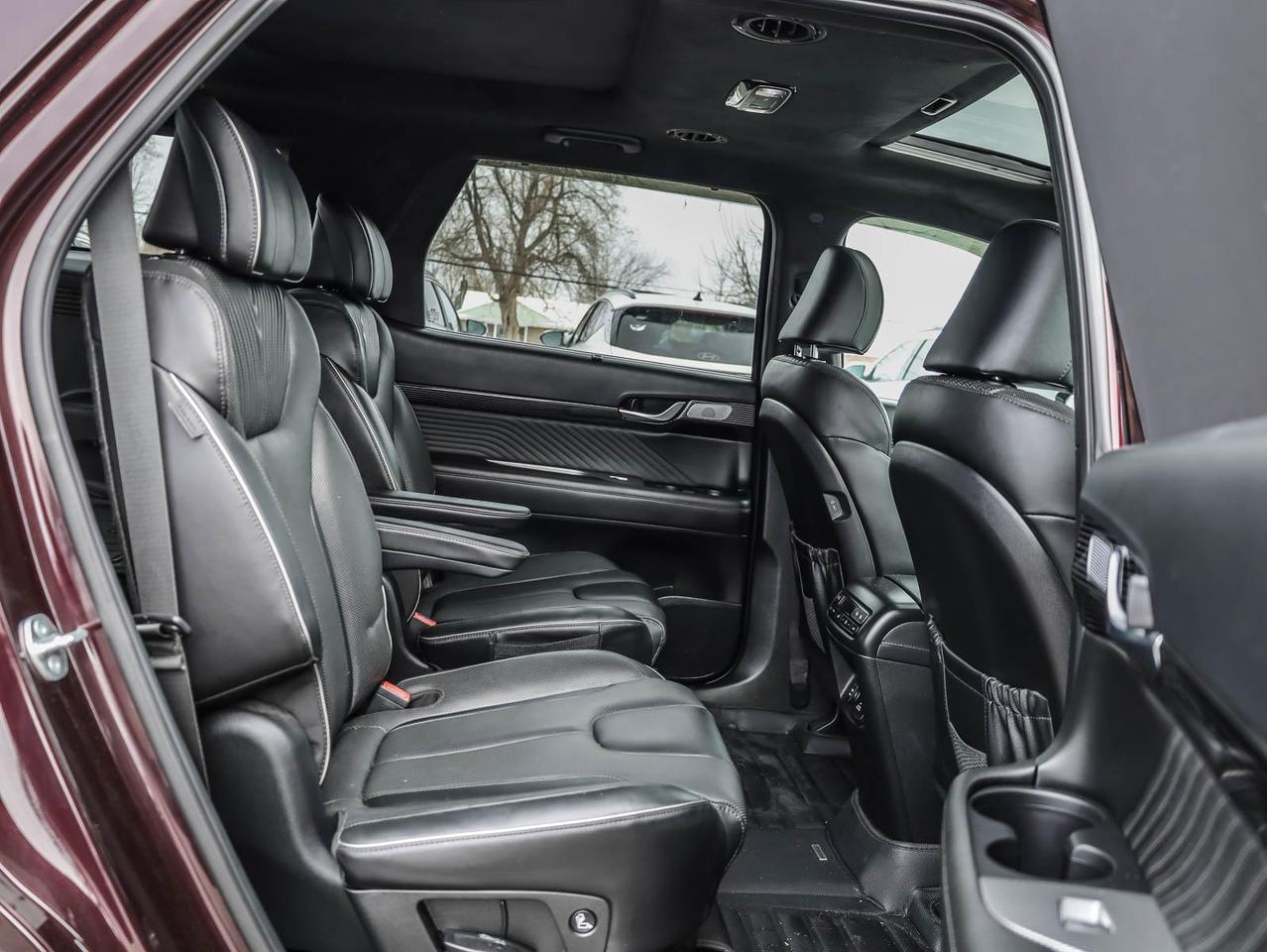 2024 Hyundai PALISADE Ultimate Calligraphy 4dr All-Wheel Drive Photo