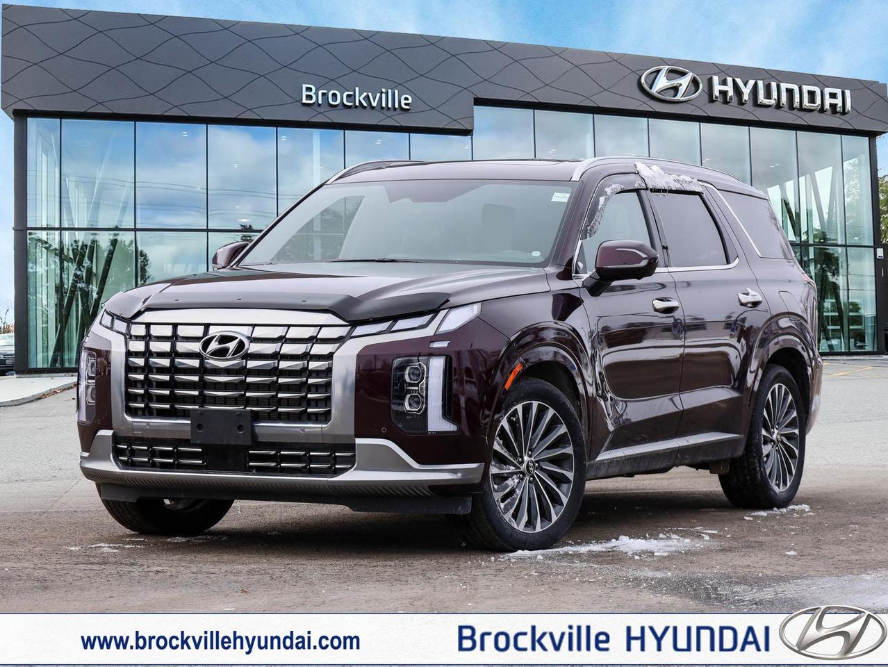 2024 Hyundai PALISADE Ultimate Calligraphy 4dr All-Wheel Drive Photo