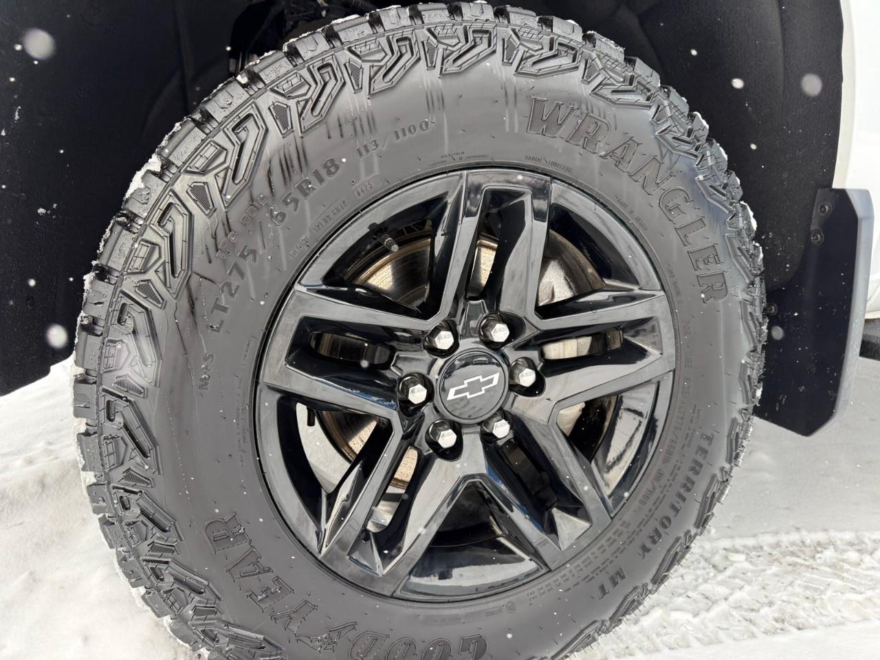 2025 Chevrolet Silverado 1500  Photo