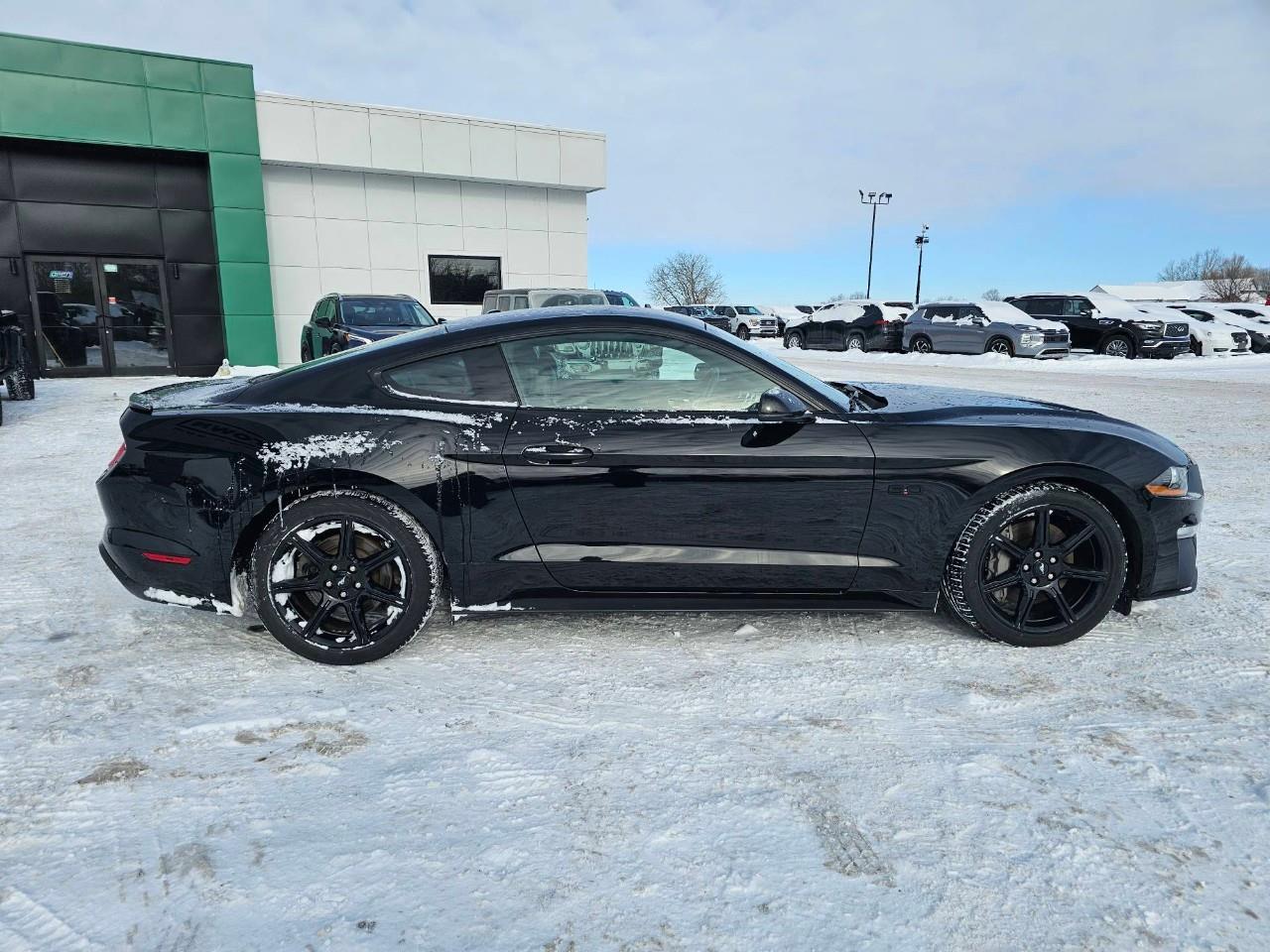 2018 Ford Mustang GT 2dr Fastback Photo