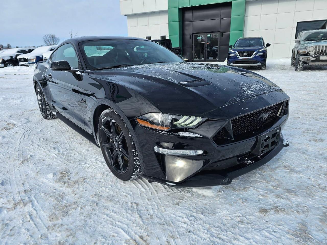 2018 Ford Mustang GT 2dr Fastback Photo