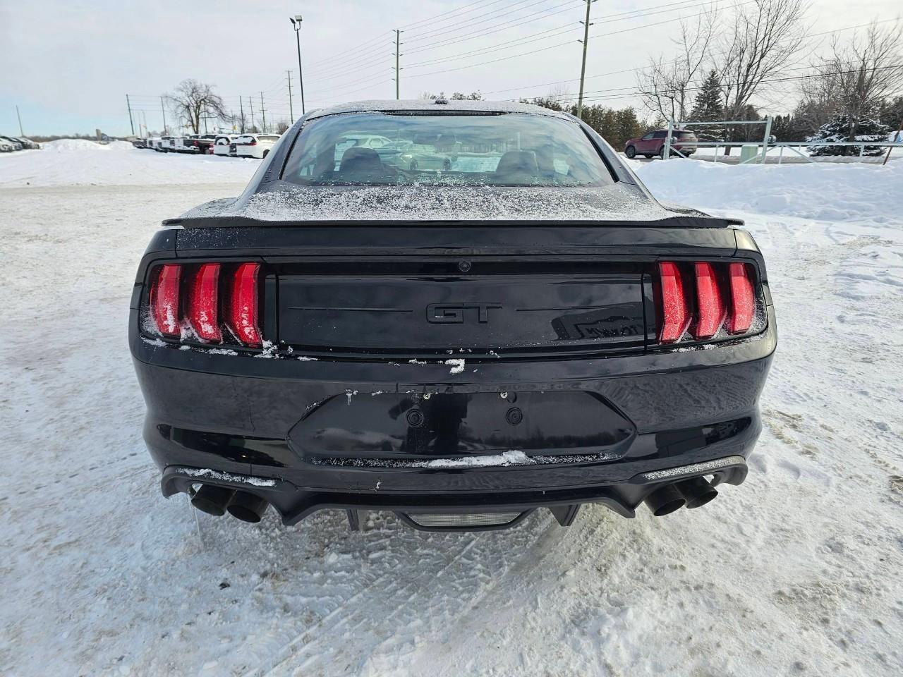 2018 Ford Mustang GT 2dr Fastback Photo