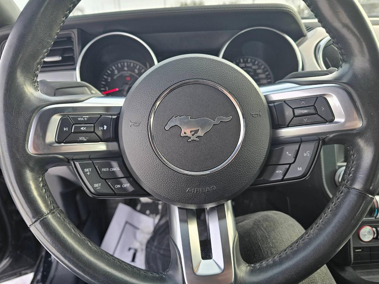 2018 Ford Mustang GT 2dr Fastback Photo