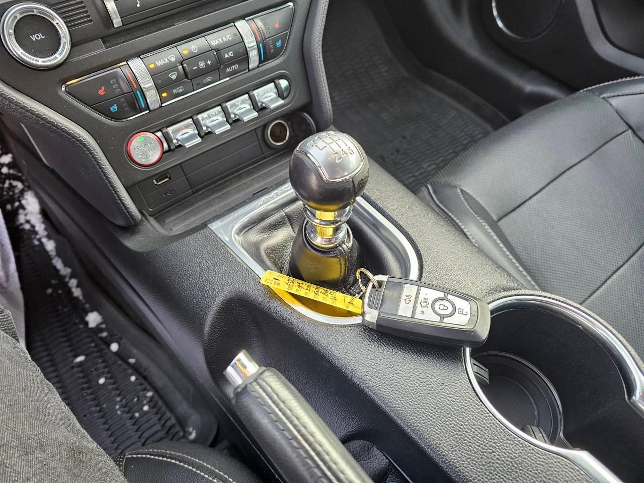 2018 Ford Mustang GT 2dr Fastback Photo