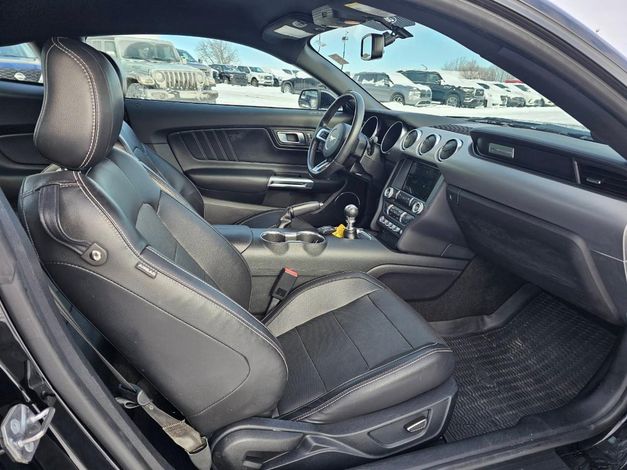 2018 Ford Mustang GT 2dr Fastback Photo