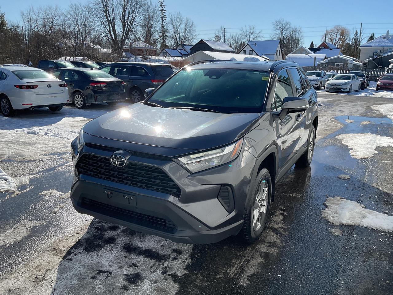 2024 Toyota RAV4 XLE 4dr All-wheel Drive Photo