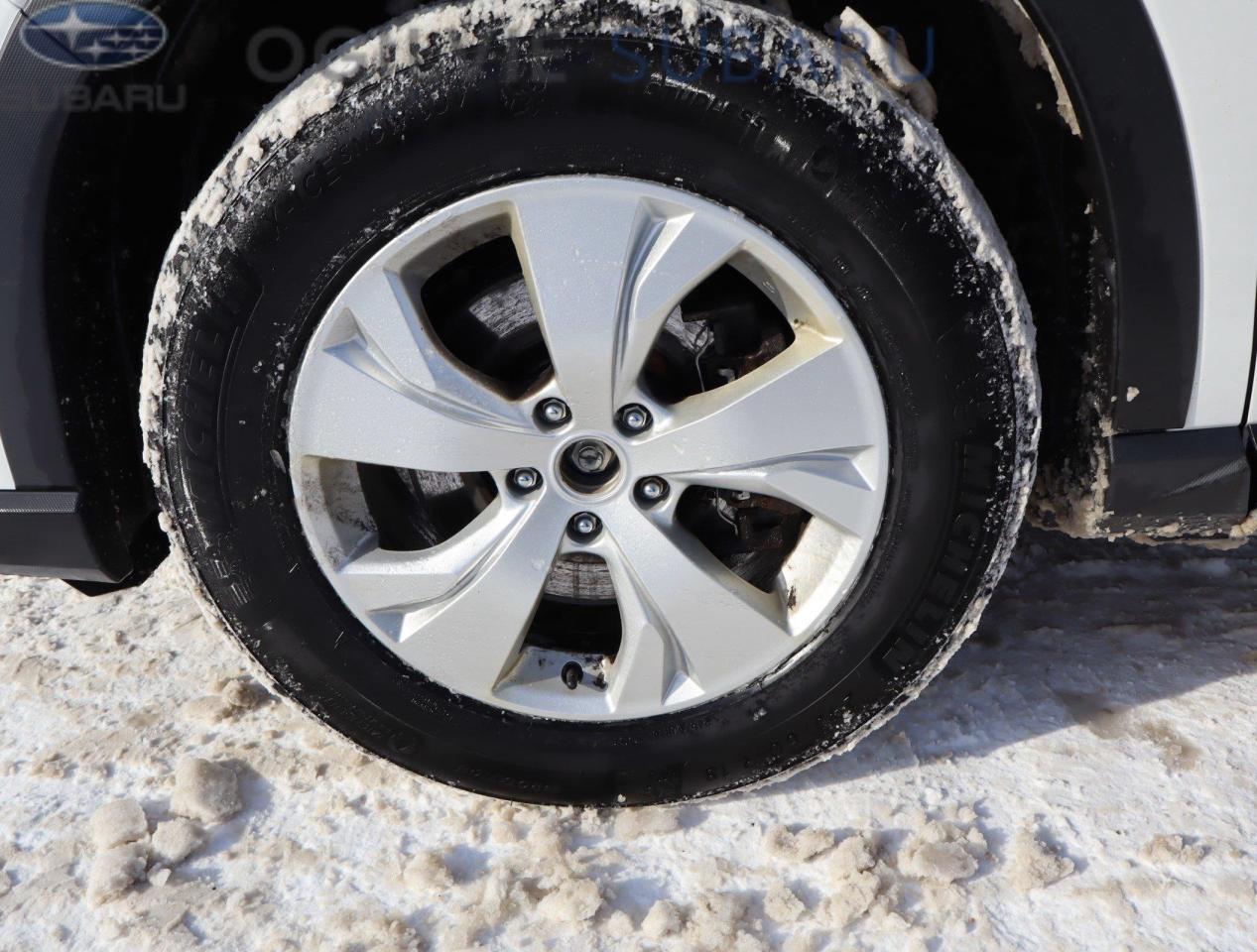 2022 Subaru ASCENT Convenience 8-Passenger (CVT) 4dr All-Wheel Drive Photo