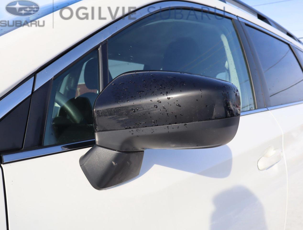 2022 Subaru ASCENT Convenience 8-Passenger (CVT) 4dr All-Wheel Drive Photo