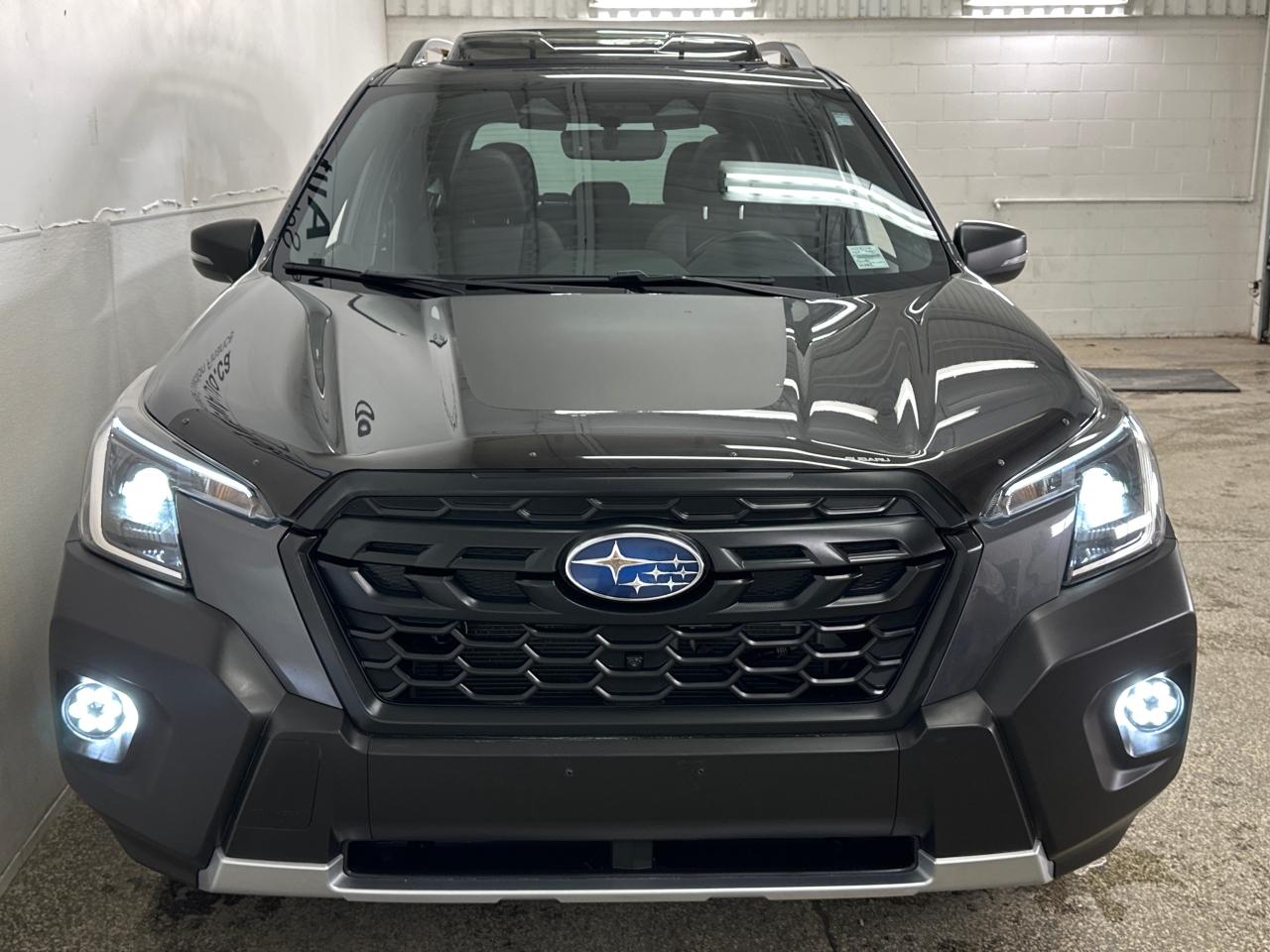 2023 Subaru Forester Wilderness 4dr All-Wheel Drive Photo