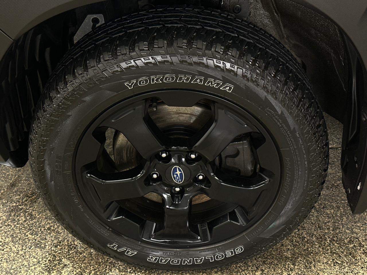 2023 Subaru Forester Wilderness 4dr All-Wheel Drive Photo