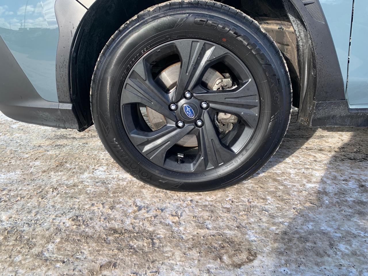 2024 Subaru Crosstrek Convenience 4dr All-Wheel Drive Photo