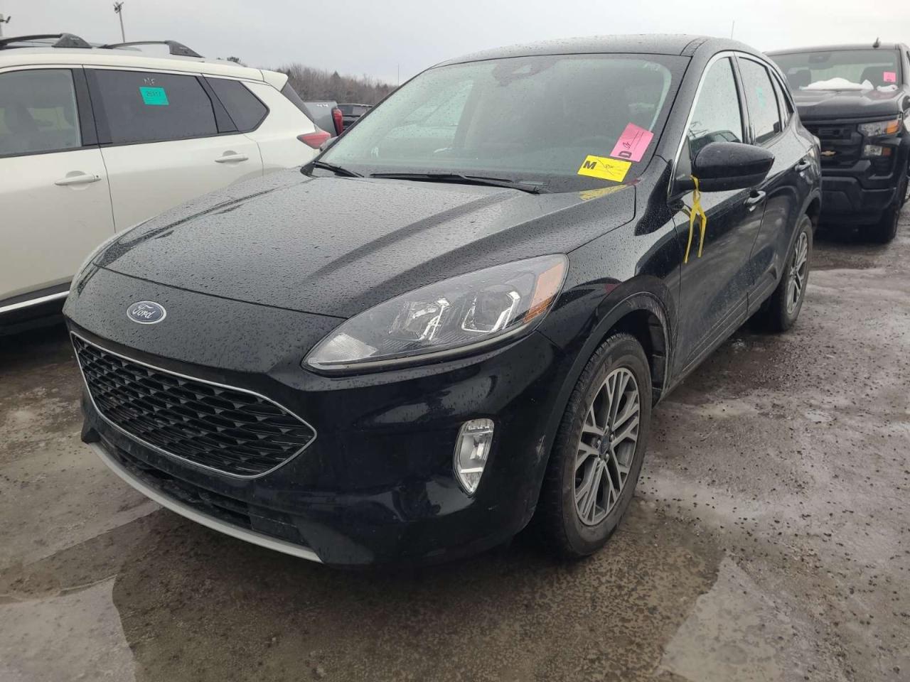 2022 Ford Escape SEL 4dr All-Wheel Drive Photo0
