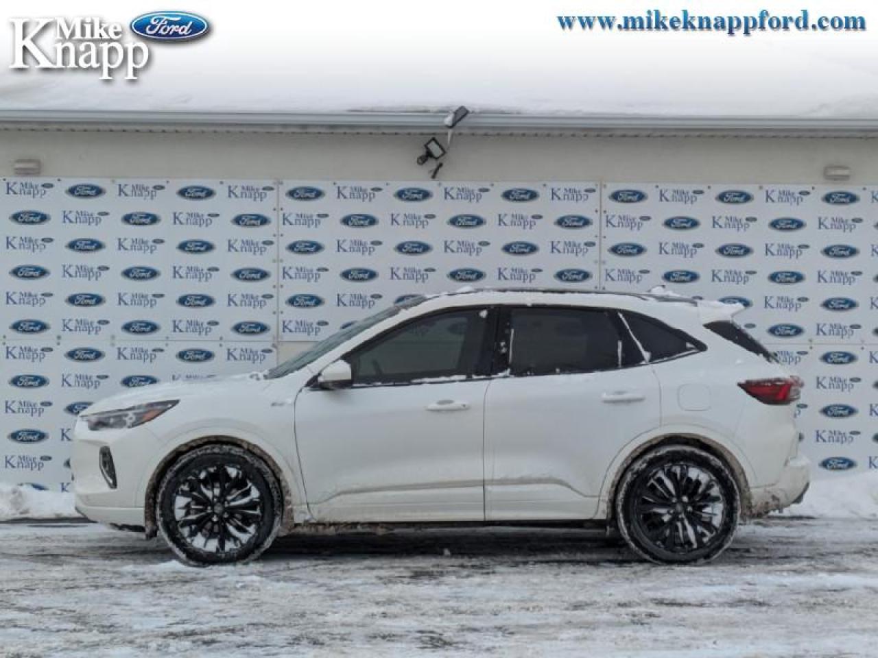 2023 Ford Escape ST-Line Elite Photo