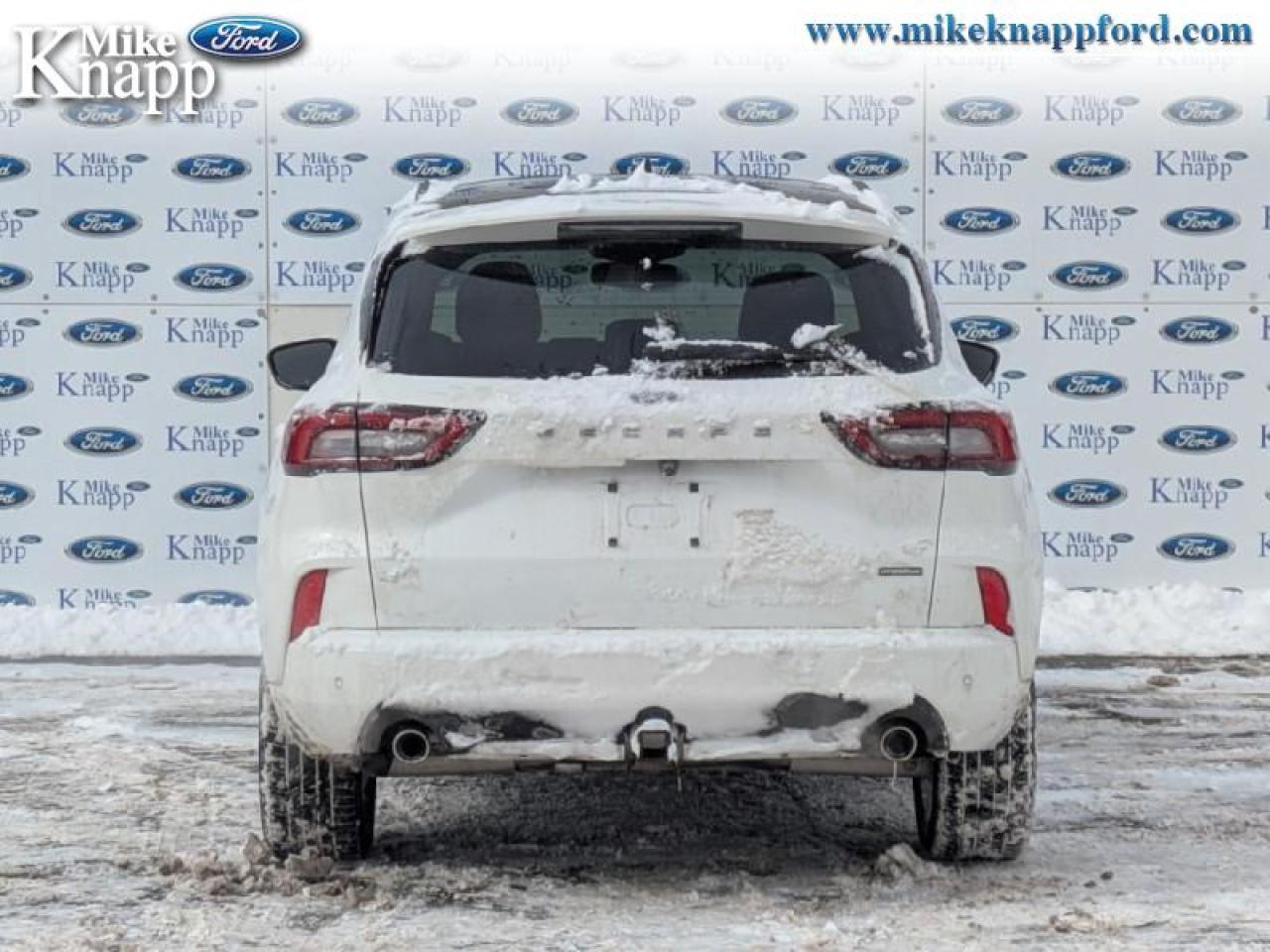 2023 Ford Escape ST-Line Elite Photo3