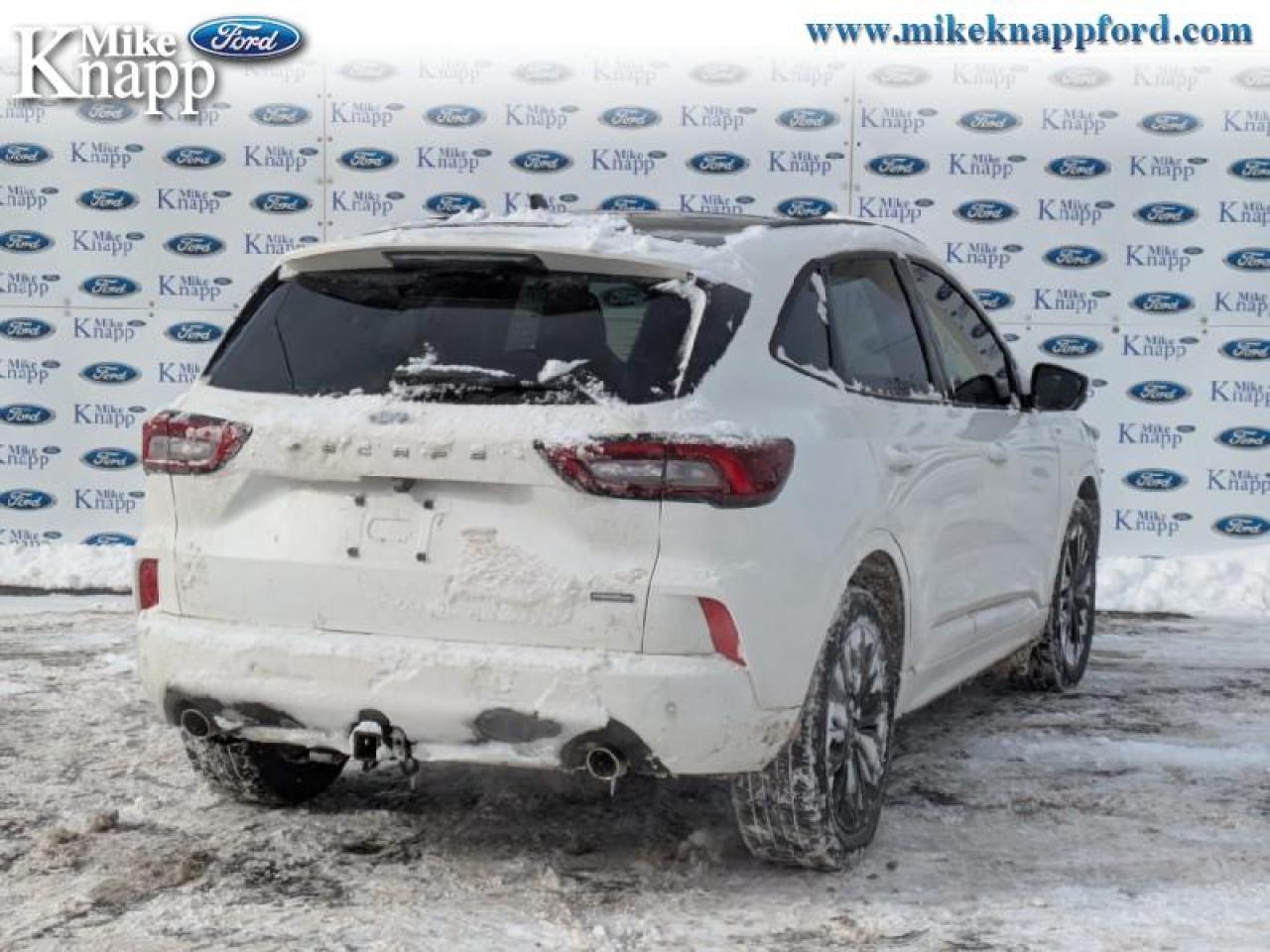 2023 Ford Escape ST-Line Elite Photo