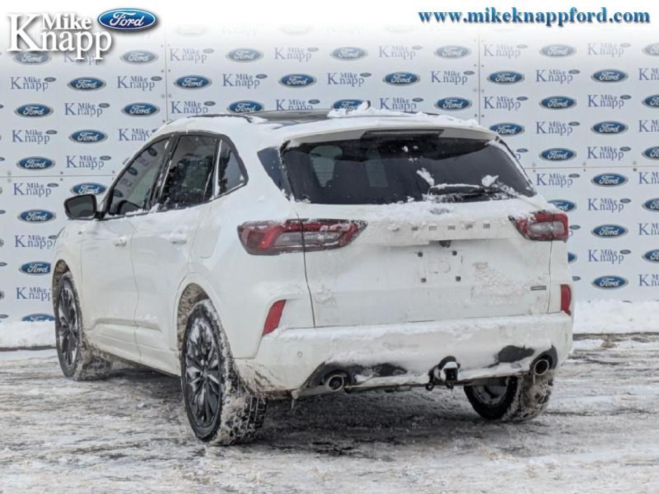 2023 Ford Escape ST-Line Elite Photo2