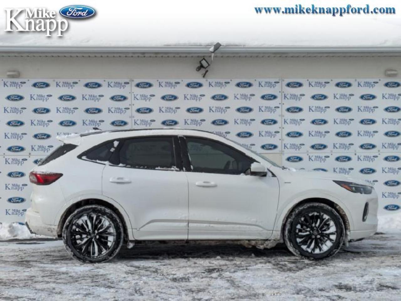 2023 Ford Escape ST-Line Elite Photo